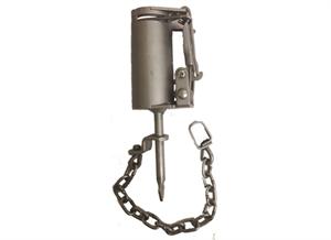 Duke Dog Proof Raccoon Trap - DP Traps - Great for Nuisance Coons - 12 Traps